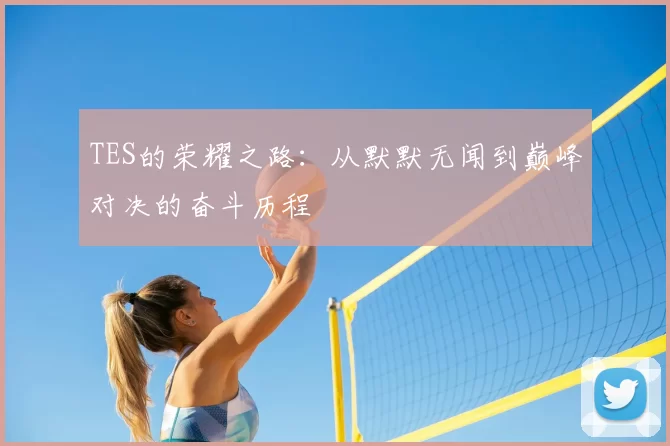 TES的荣耀之路:从默默无闻到巅峰对决的奋斗历程