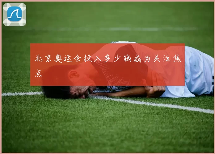 北京奥运会投入多少钱成为关注焦点