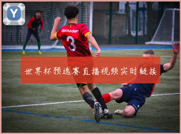 世界杯预选赛直播视频实时链接