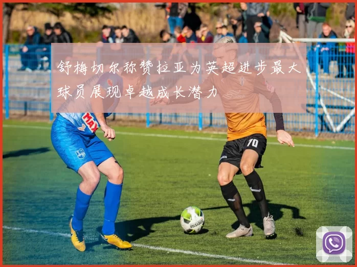 舒梅切尔称赞拉亚为英超进步最大球员展现卓越成长潜力
