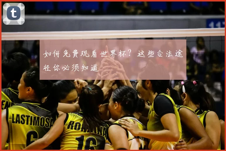 如何免费观看世界杯?这些合法途径你必须知道