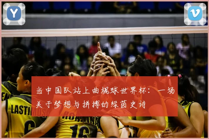 当中国队站上曲棍球世界杯:一场关于梦想与拼搏的绿茵史诗