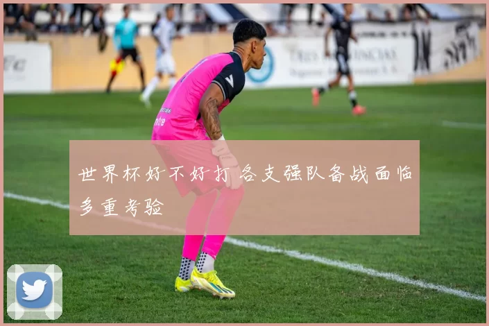 世界杯好不好打 各支强队备战面临多重考验