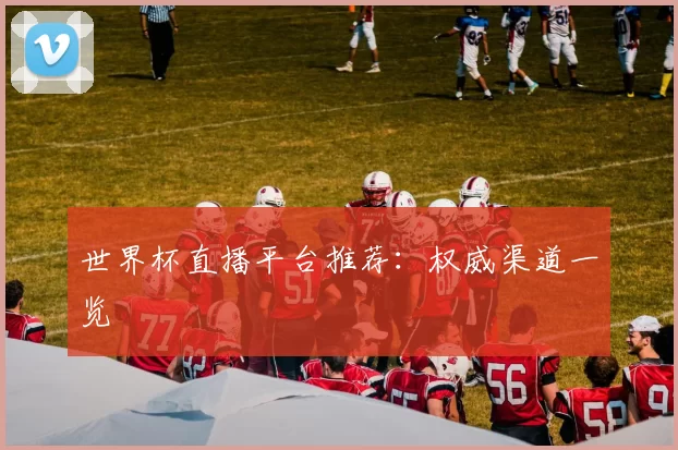 世界杯直播平台推荐：权威渠道一览