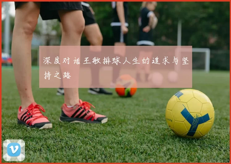 深度对话王敏排球人生的追求与坚持之路