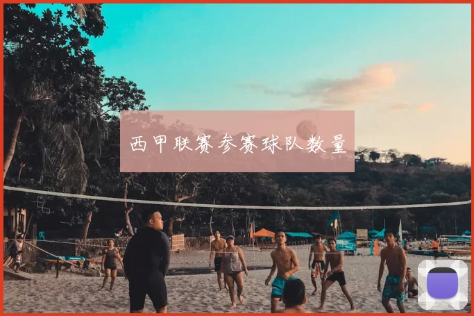 西甲联赛参赛球队数量