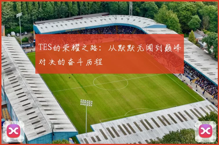 TES的荣耀之路:从默默无闻到巅峰对决的奋斗历程